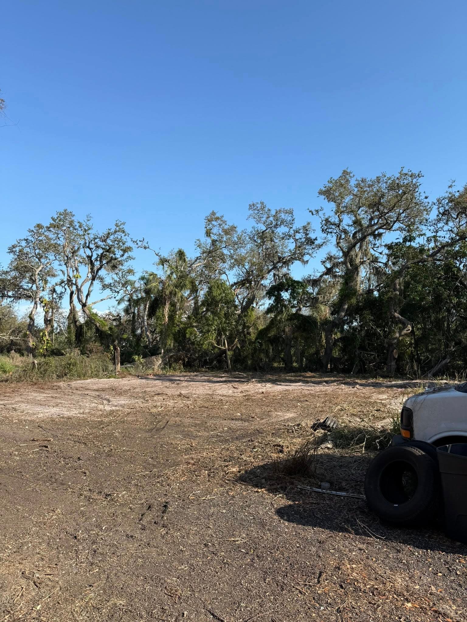Cleared land under blue sky, featuring trees with Spanish moss and a parked vehicle.